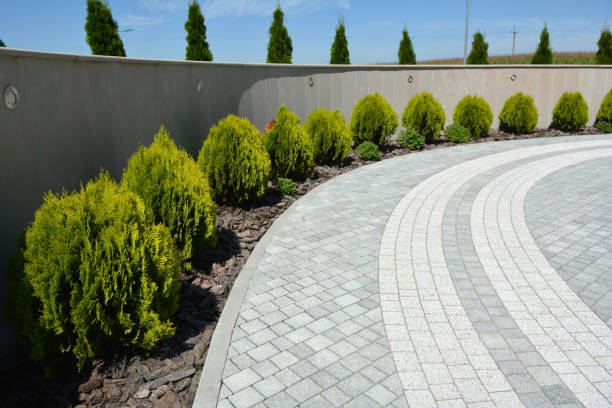 Best Driveway Repair Near Me  in Peoria, IL